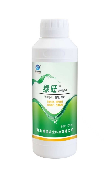 ����-����